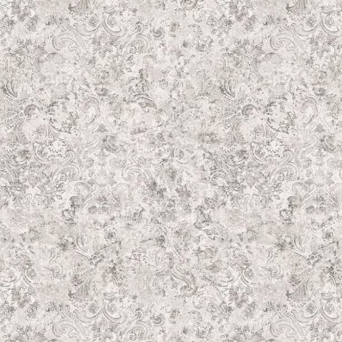 Latania W6653-01